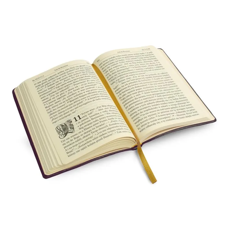 Biblia jako pocisk: jak słowa przyciągają i zmieniają świat