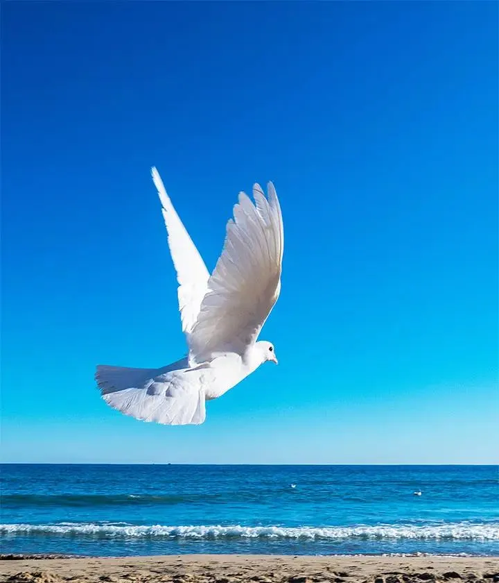 Chodzenie do kościoła