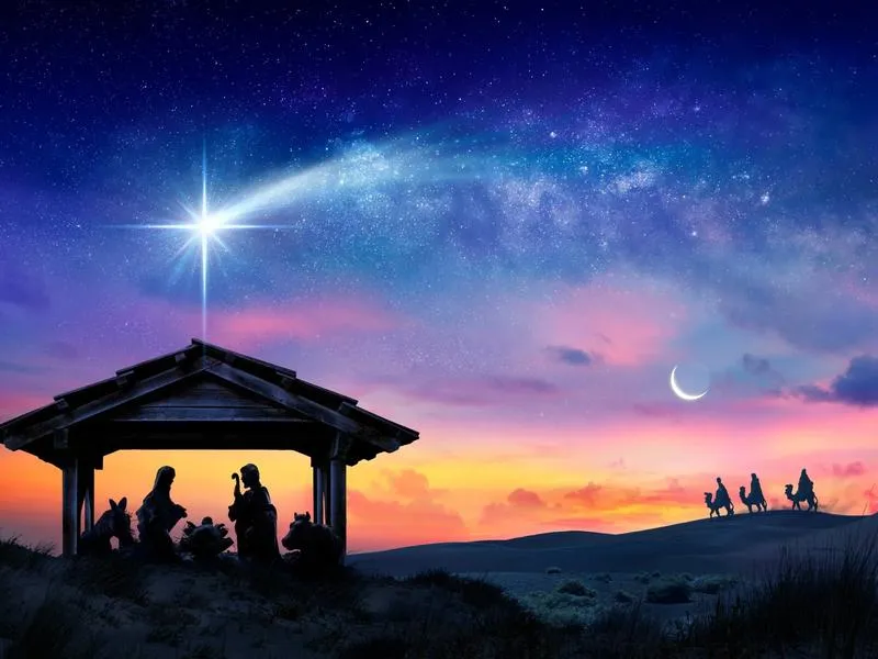 Przygotowania świąteczne do Wigilii