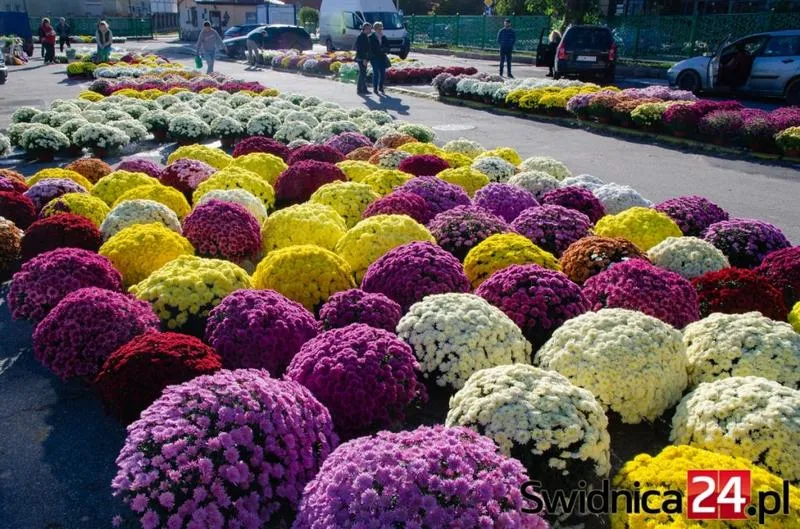 Sztuczne czy żywe kwiaty nagrobne